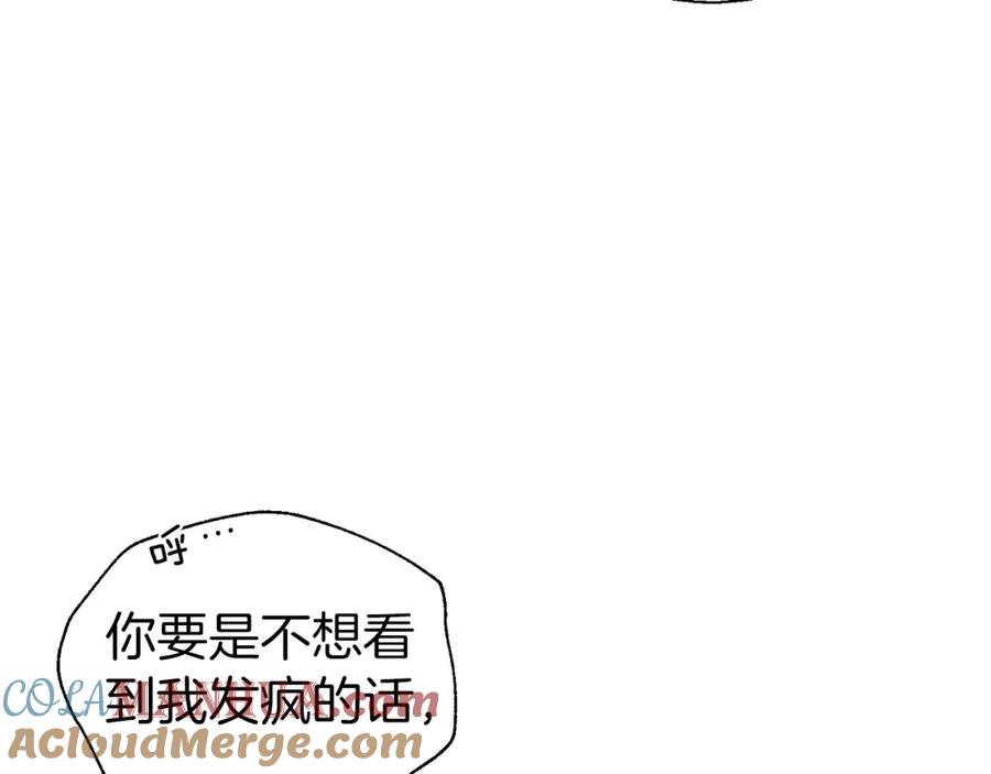 113.jpg