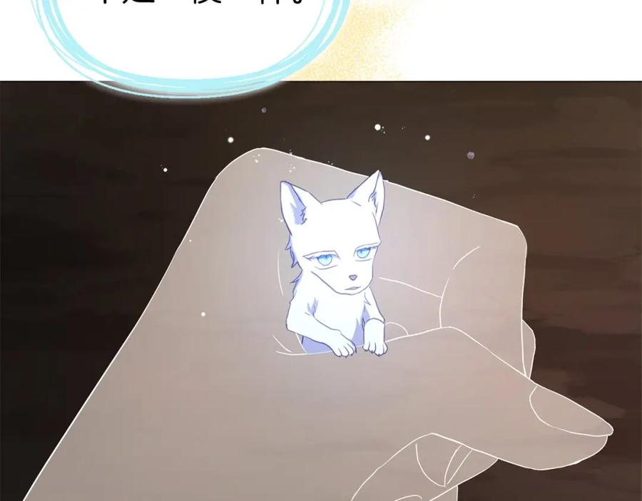 127.jpg