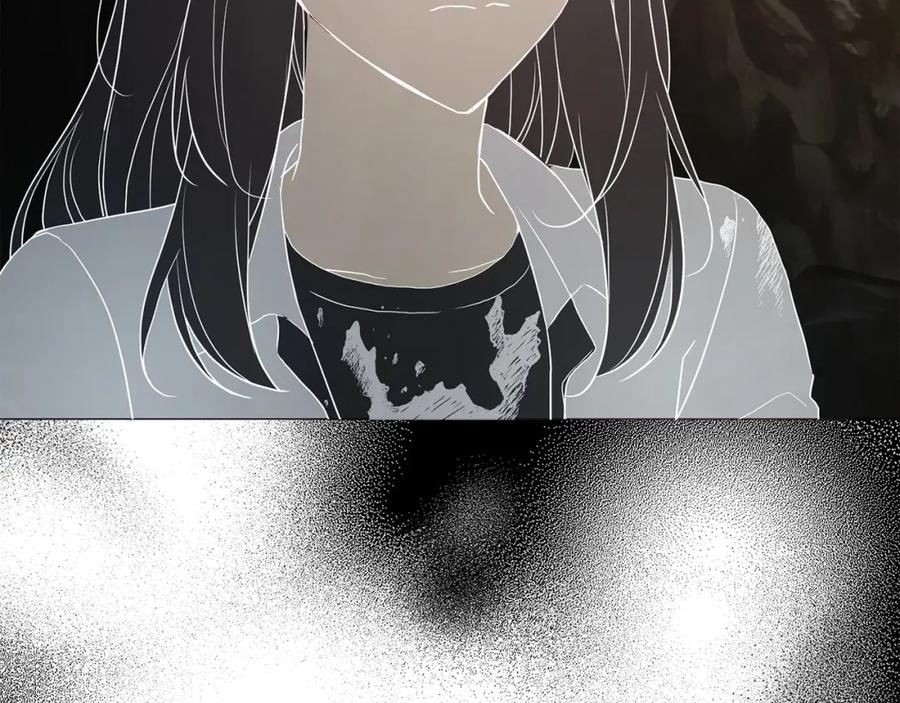 135.jpg