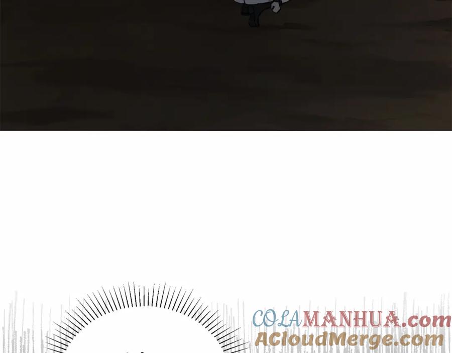 141.jpg