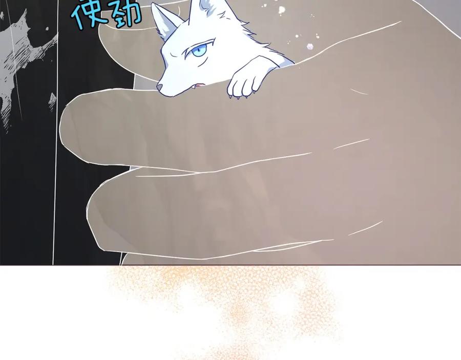 123.jpg