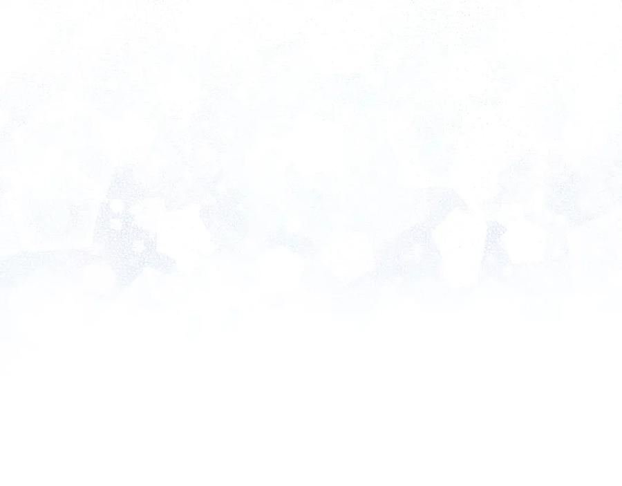 91.jpg