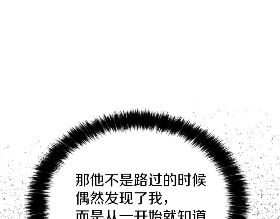 123.jpg