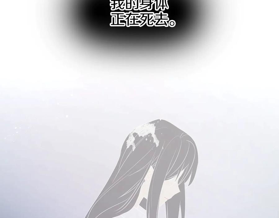 138.jpg