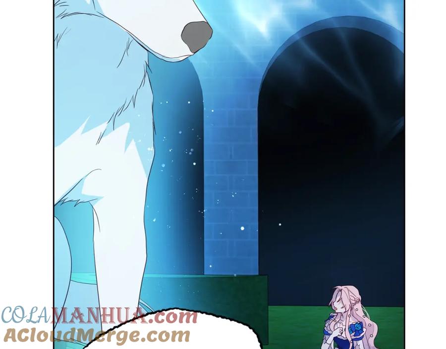 125.jpg