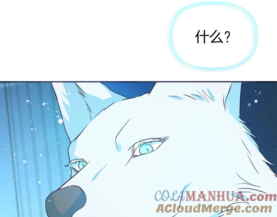 117.jpg