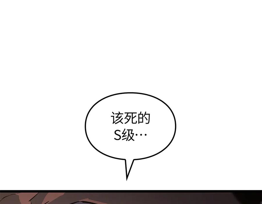 244.jpg