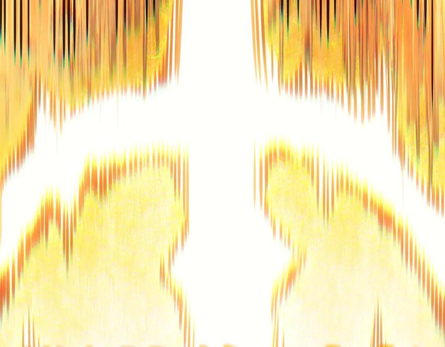 260.jpg