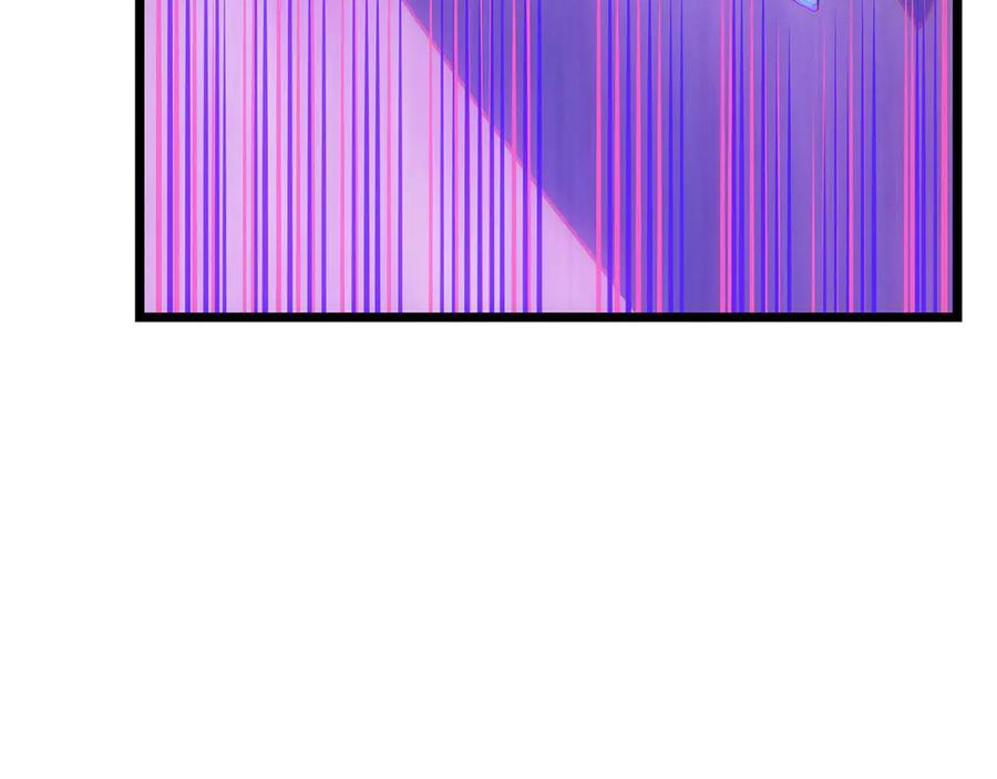 243.jpg