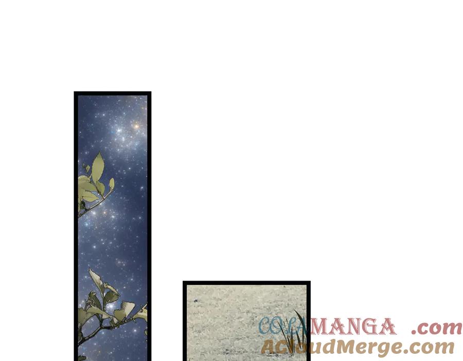 125.jpg