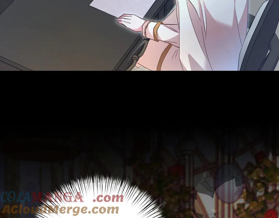 141.jpg