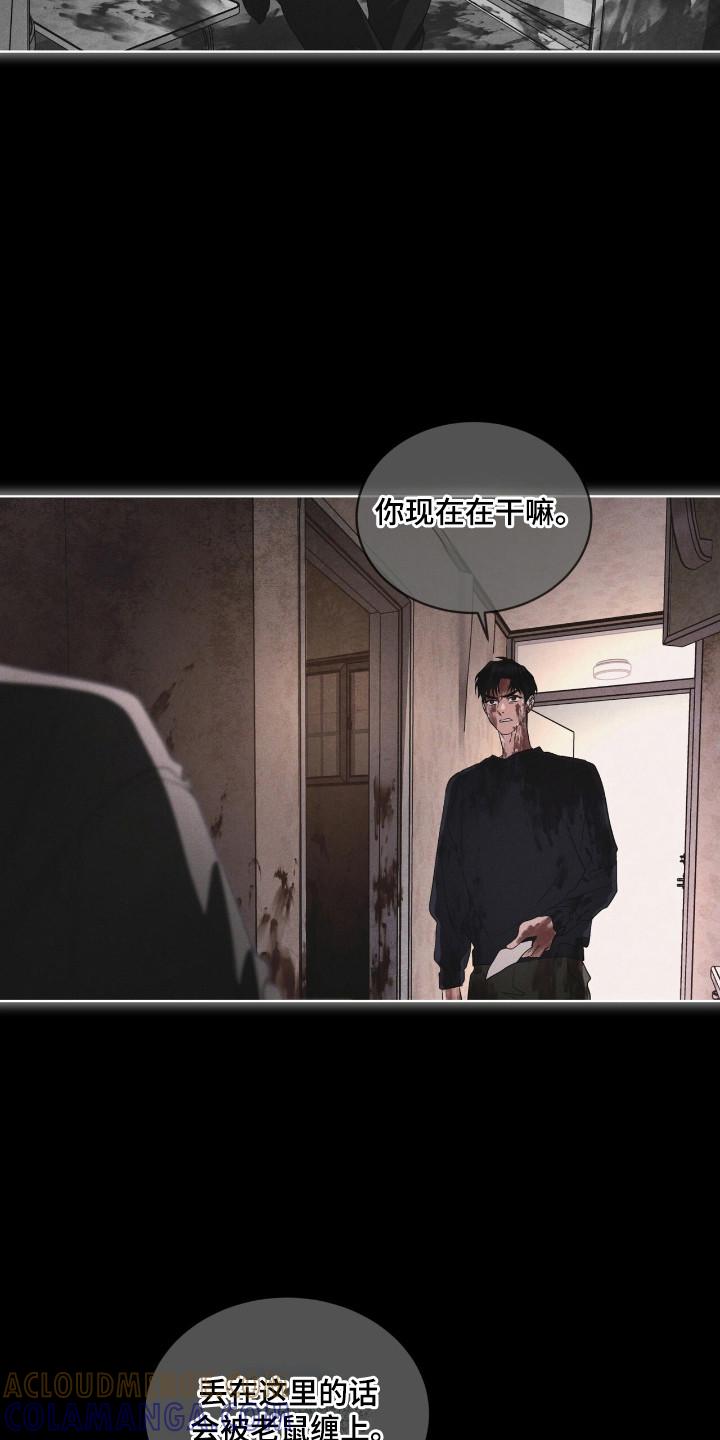 第140章：【第三季】看到希望-彩虹城-Pnaiuenm（第5张）