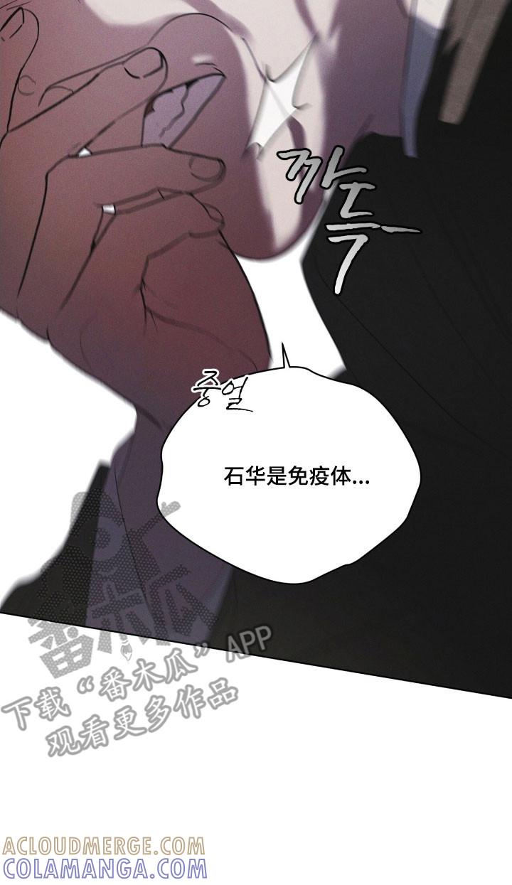 第148章：【第三季】加以阻止-彩虹城-Pnaiuenm（第15张）