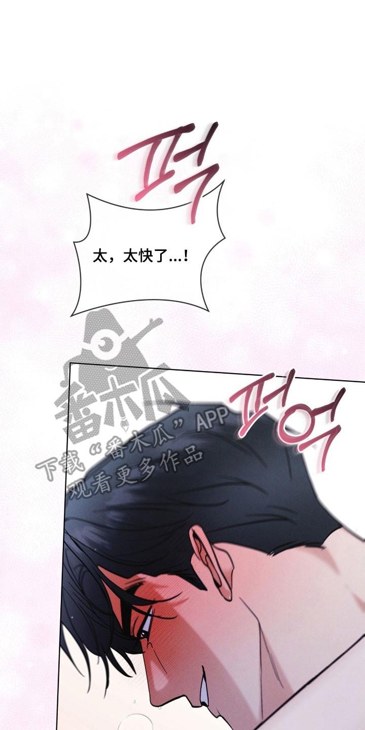 第154章：【第三季】一级事件-彩虹城-Pnaiuenm（第2张）