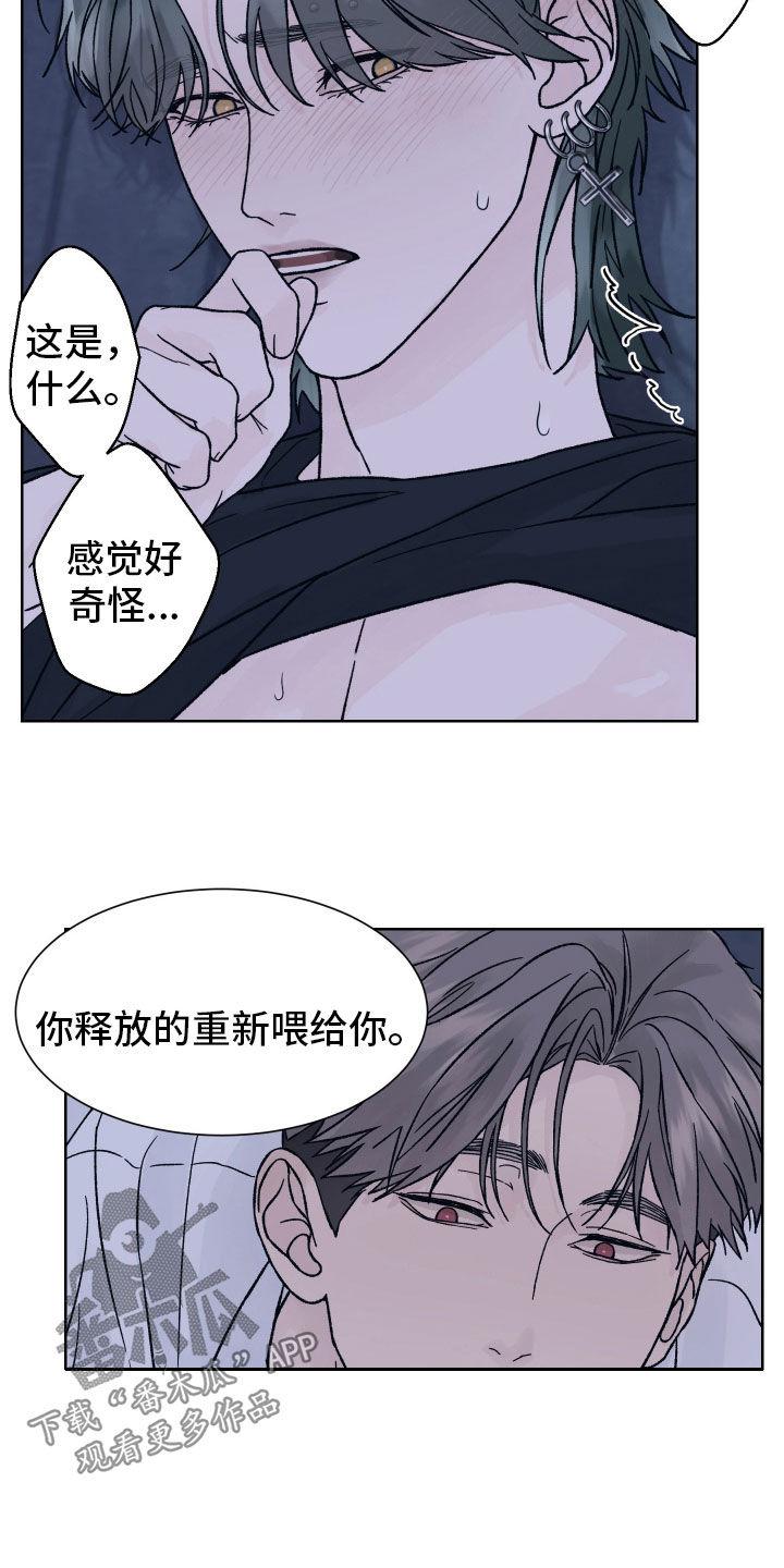 第56章：别催我-狂夜追凶-AOENAIIAMN（第6张）