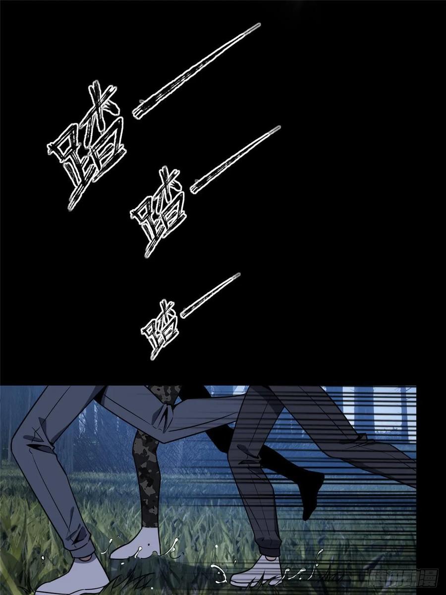 47.jpg