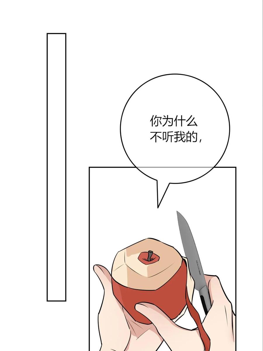 62.jpg