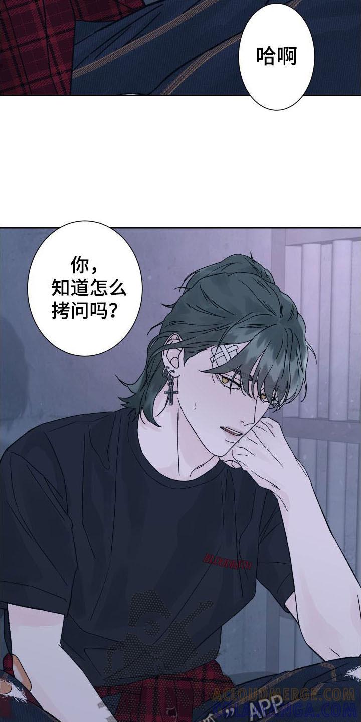 第11章：拷问-狂夜追凶-AOENAIIAMN（第5张）