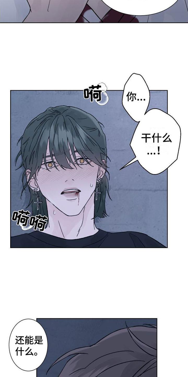 第11章：拷问-狂夜追凶-AOENAIIAMN（第22张）