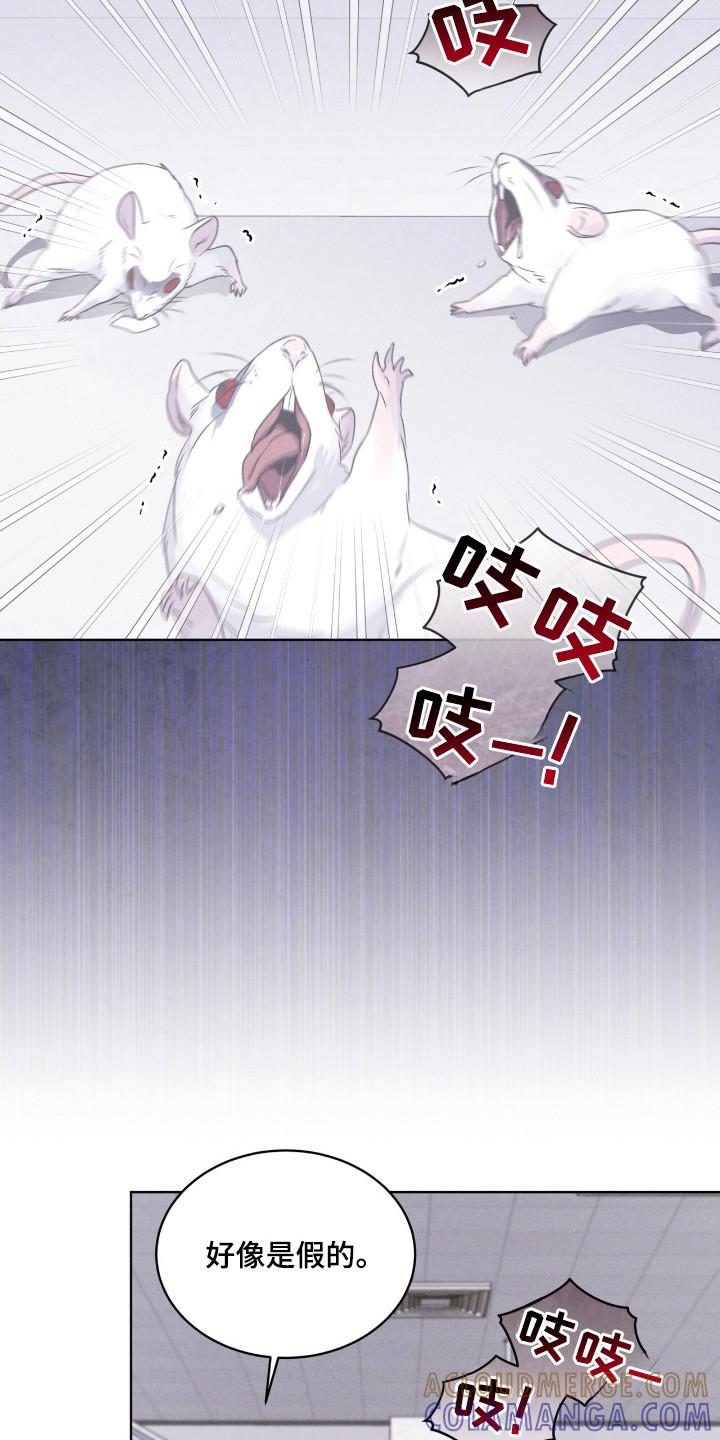 第110章：【第二季】阳性-彩虹城-Pnaiuenm（第17张）