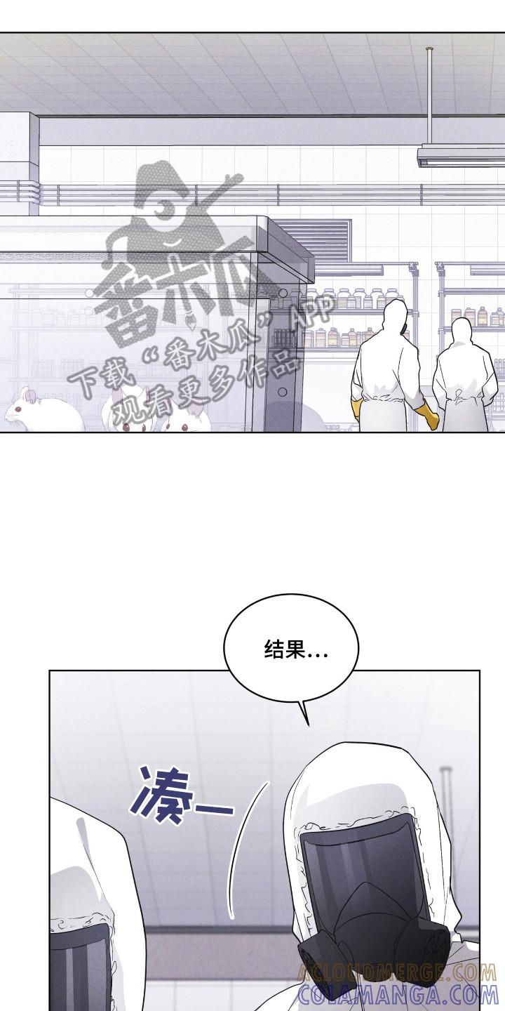 第110章：【第二季】阳性-彩虹城-Pnaiuenm（第23张）