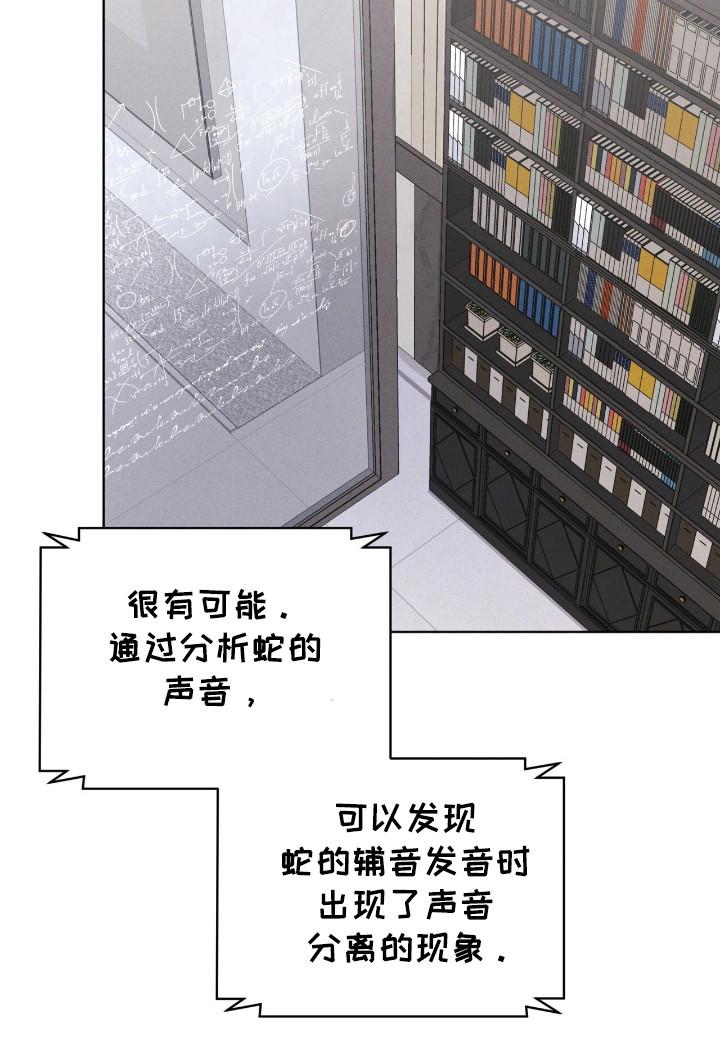 第114章：【第二季】蛇-彩虹城-Pnaiuenm（第16张）