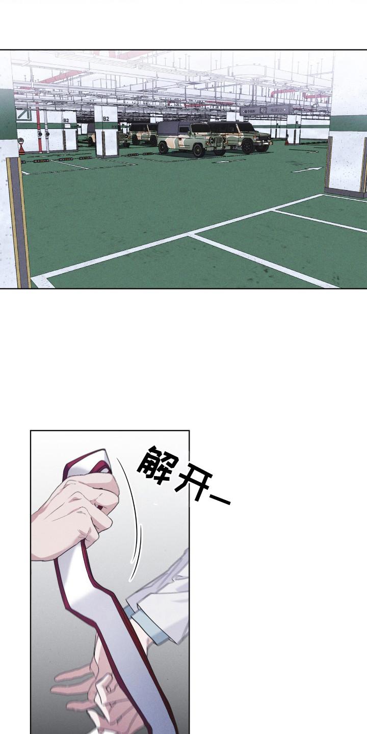 第125章：【第二季】去毁花田-彩虹城-Pnaiuenm（第14张）