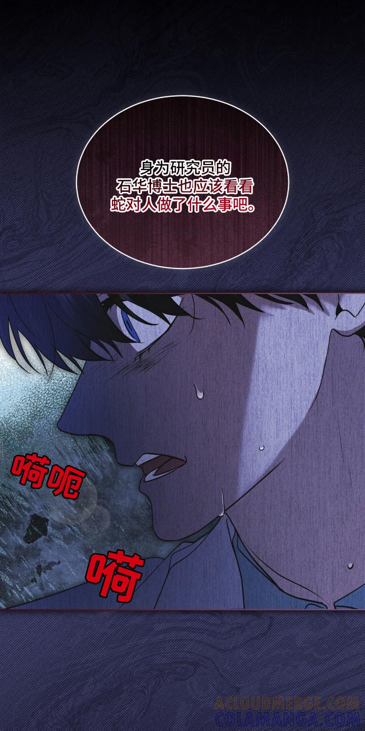 第126章：【第二季】确认一下-彩虹城-Pnaiuenm（第13张）