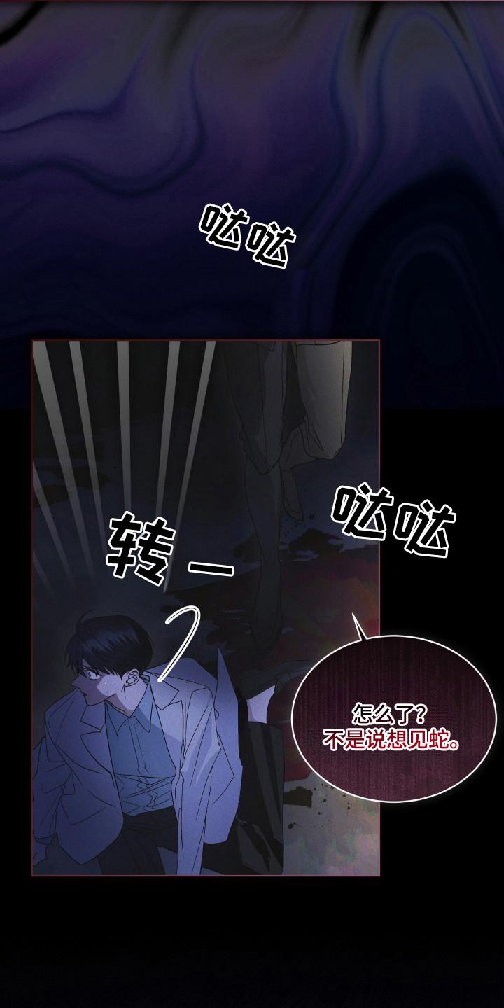 第126章：【第二季】确认一下-彩虹城-Pnaiuenm（第12张）