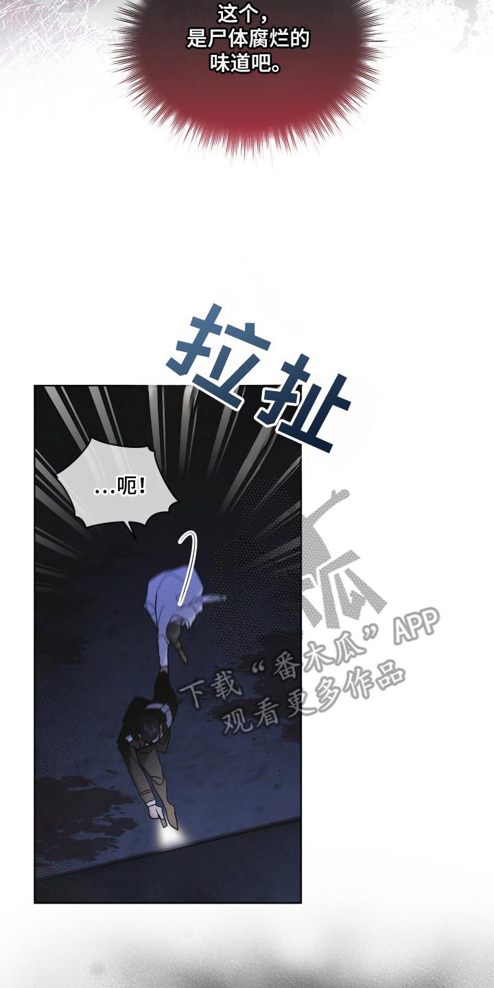 第126章：【第二季】确认一下-彩虹城-Pnaiuenm（第2张）