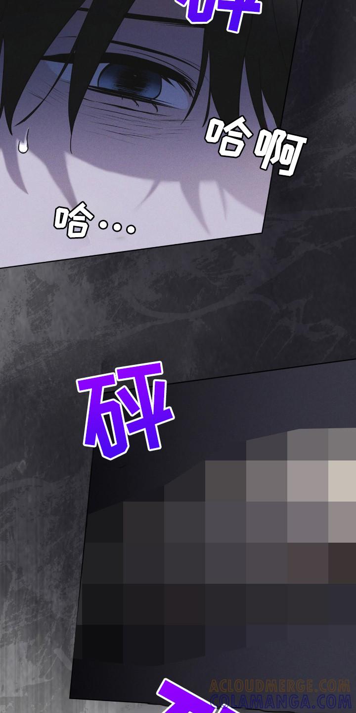 第127章：【第二季】价值-彩虹城-Pnaiuenm（第9张）