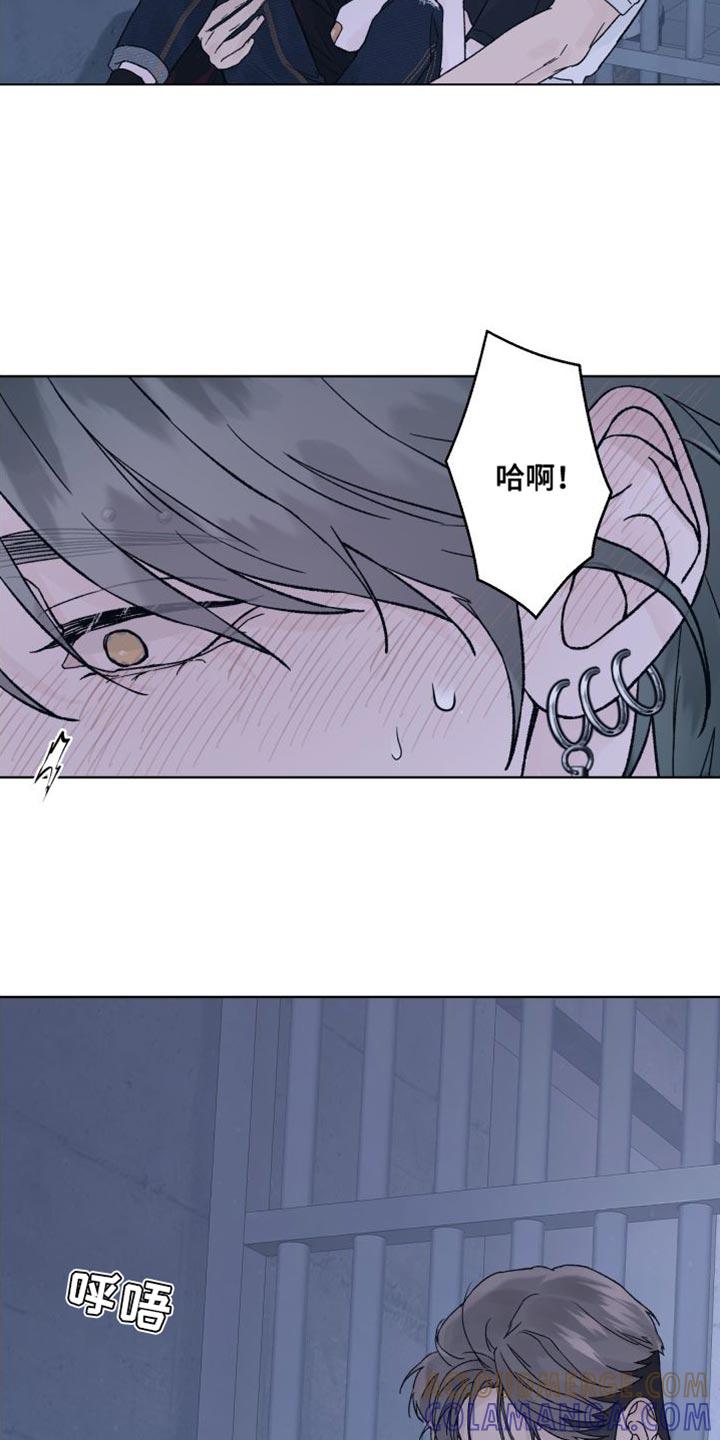 第13章：偏执-狂夜追凶-AOENAIIAMN（第13张）