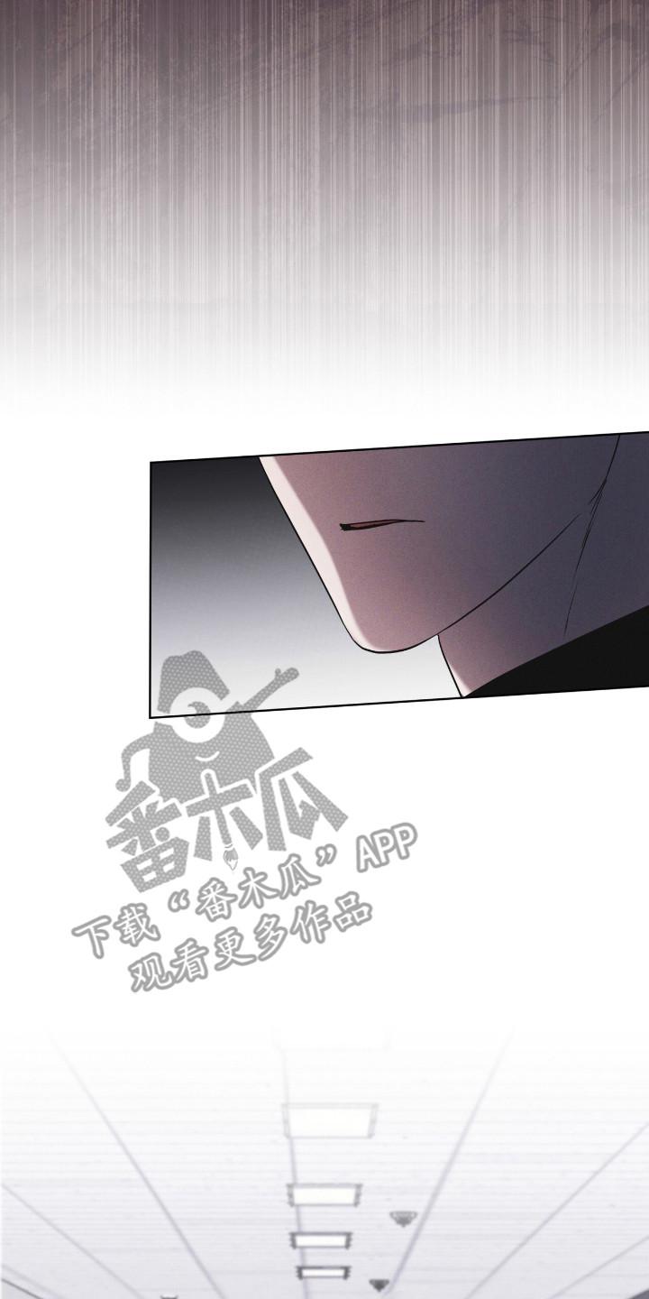 第130章：【第二季】行踪-彩虹城-Pnaiuenm（第6张）