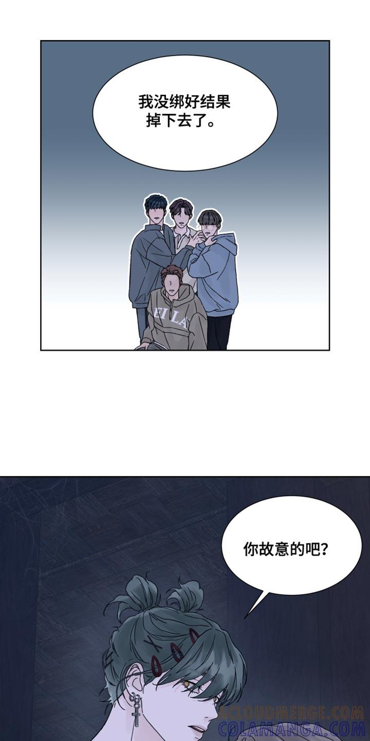 第24章：兔子玩偶-狂夜追凶-AOENAIIAMN（第15张）