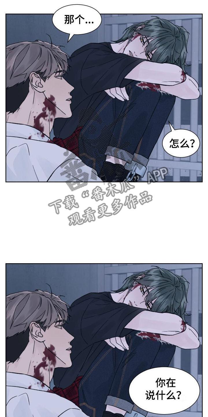 第8章：想杀你-狂夜追凶-AOENAIIAMN（第16张）