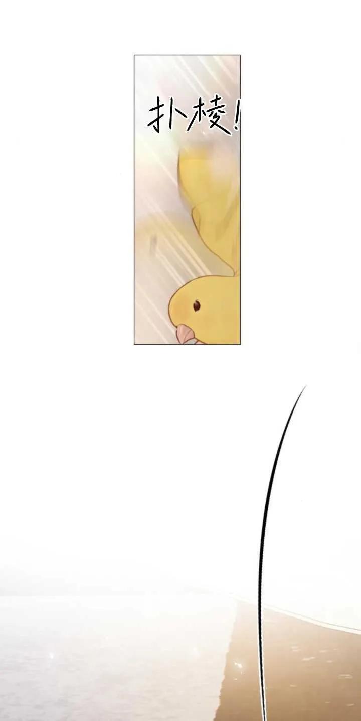 62.jpg