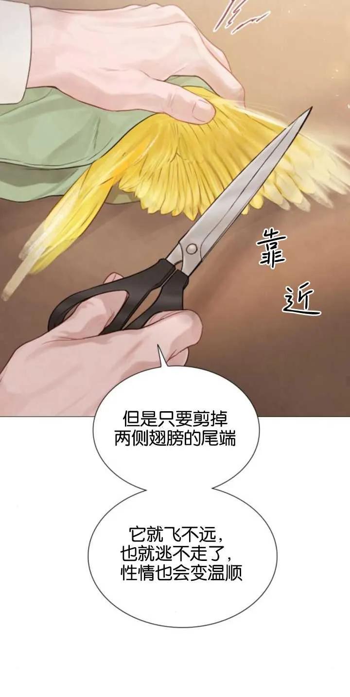 56.jpg