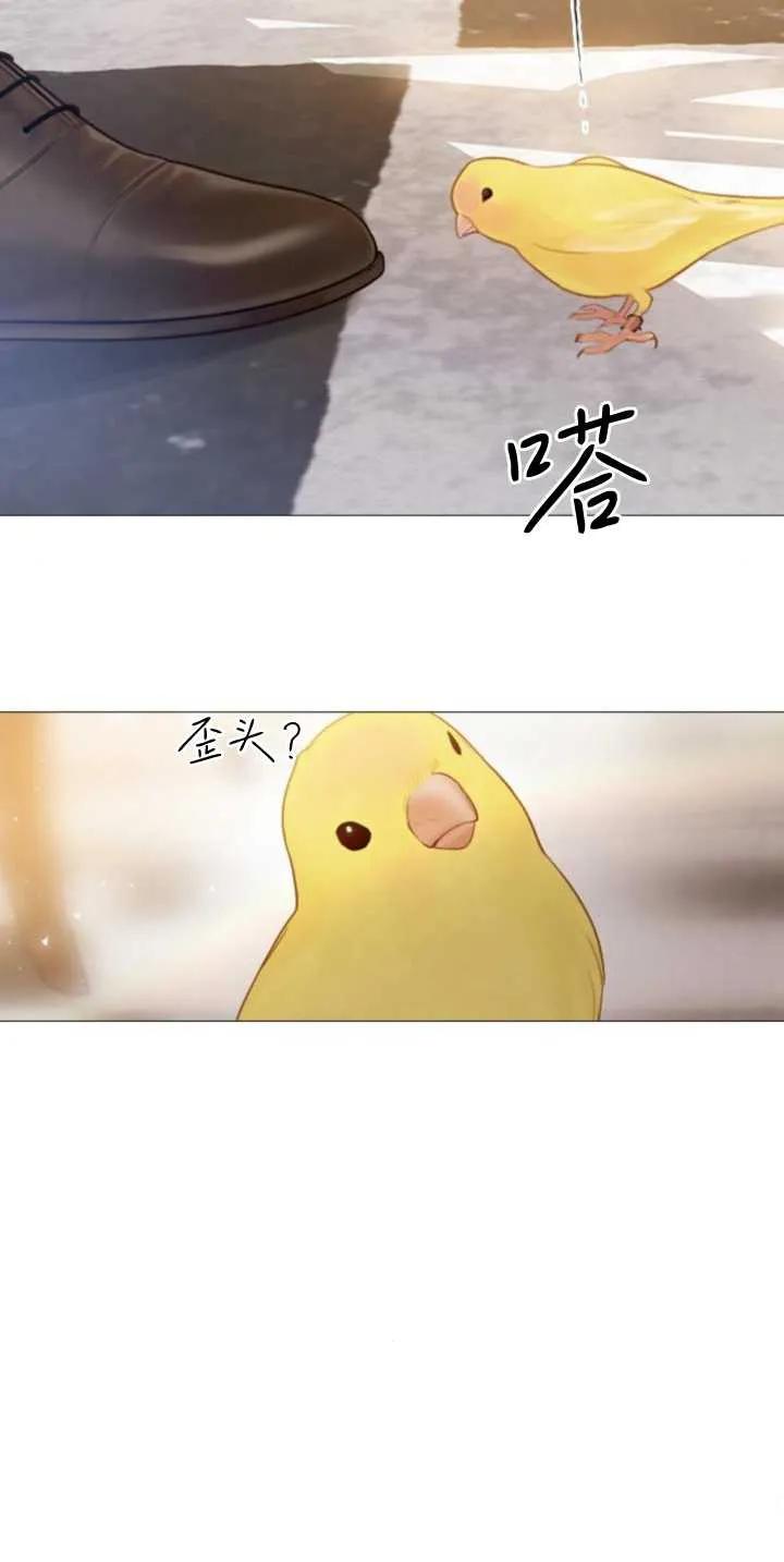 63.jpg