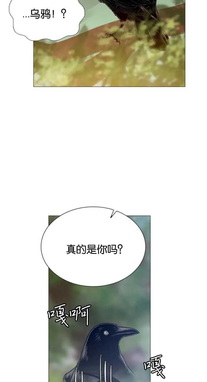 71.jpg