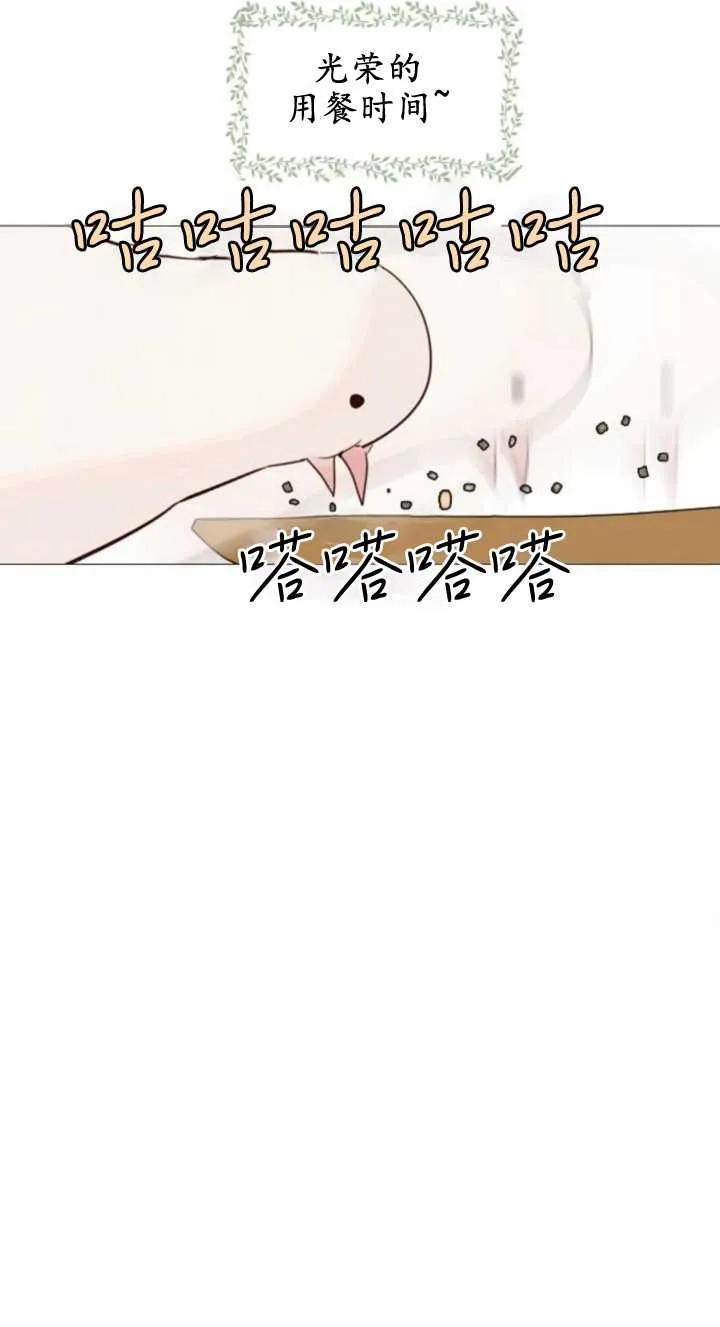 82.jpg