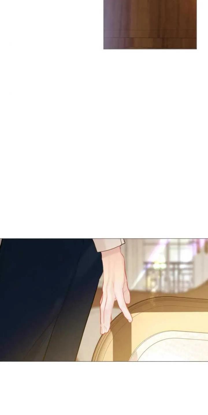 53.jpg