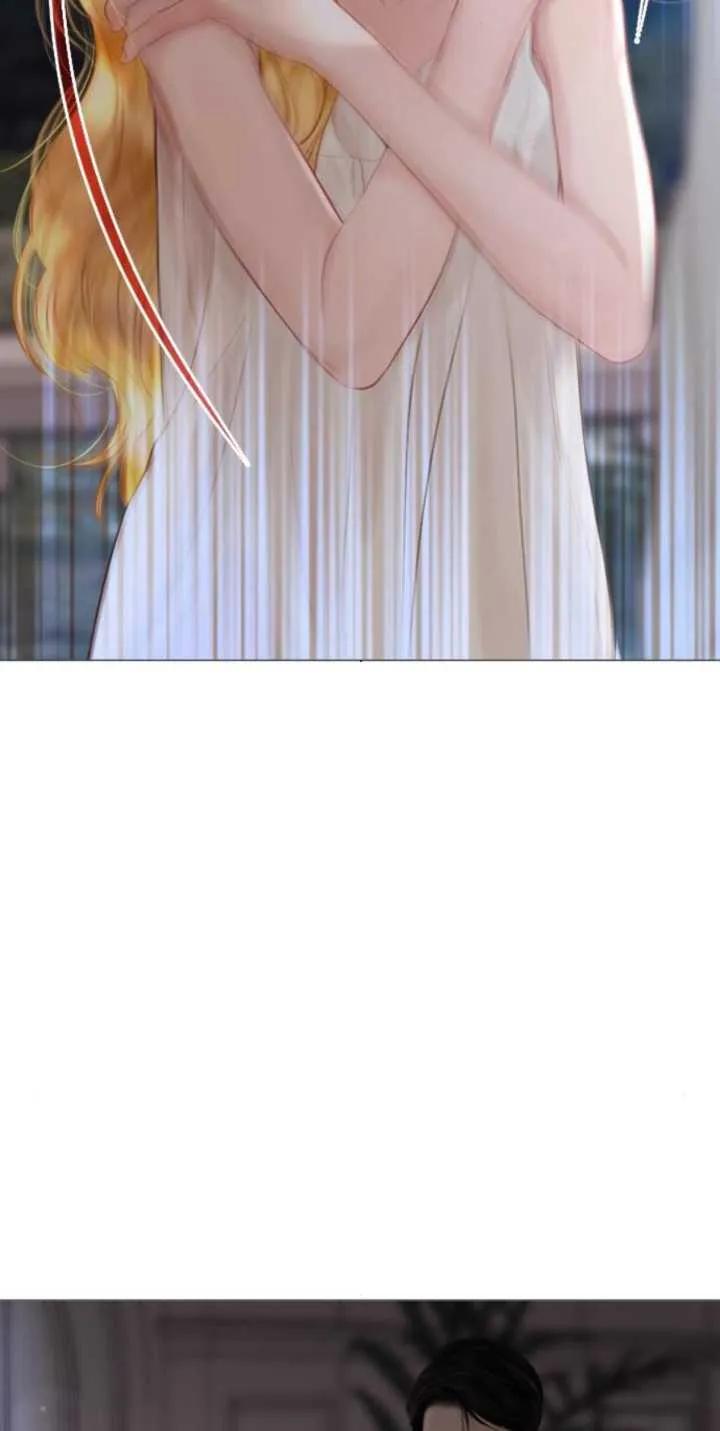 64.jpg