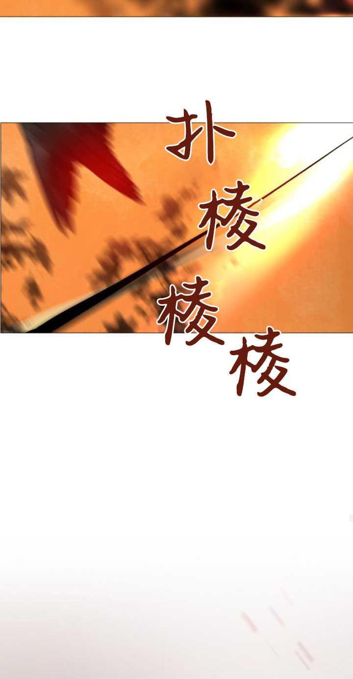 75.jpg