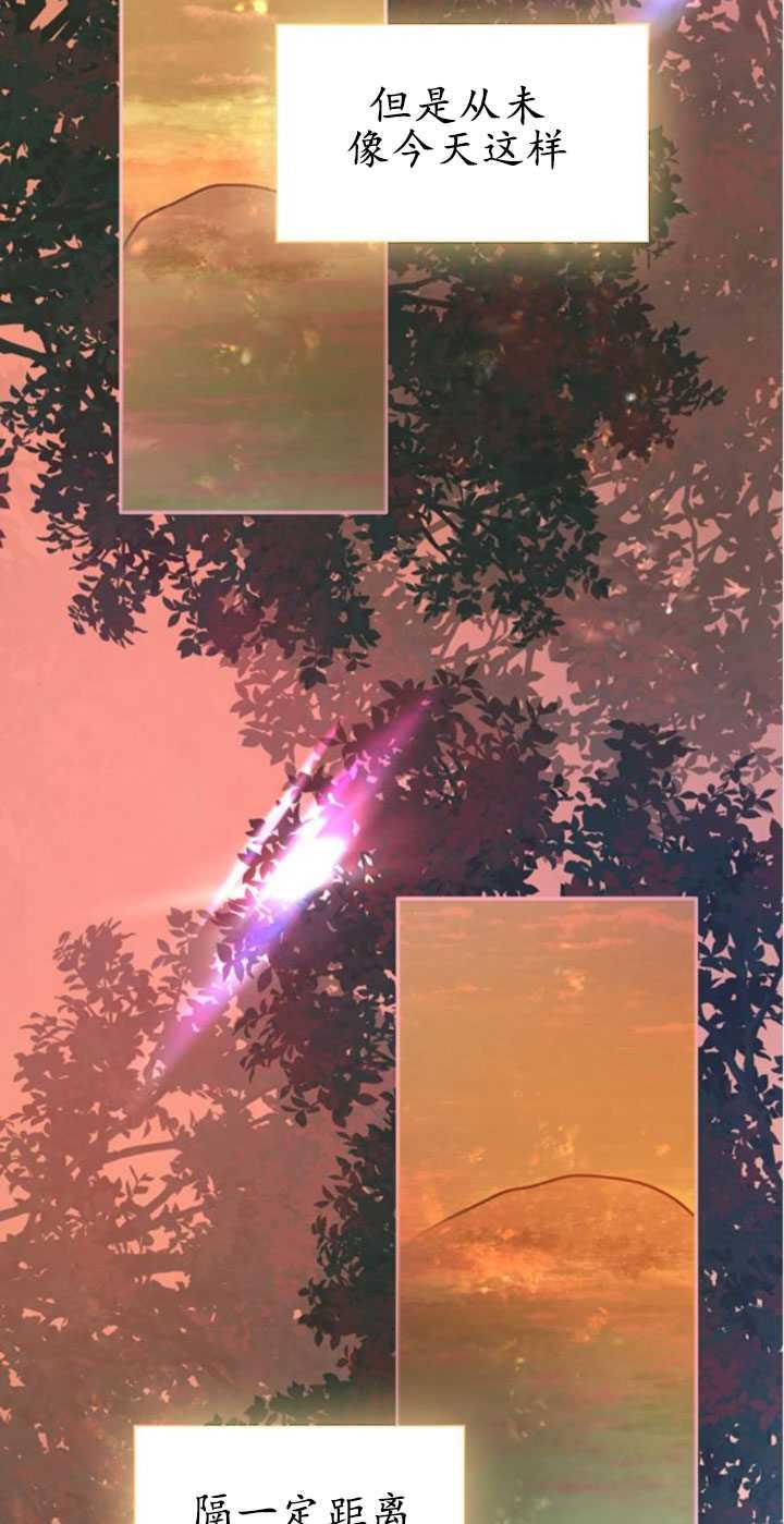 95.jpg