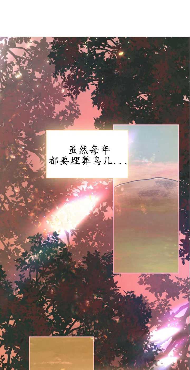 94.jpg