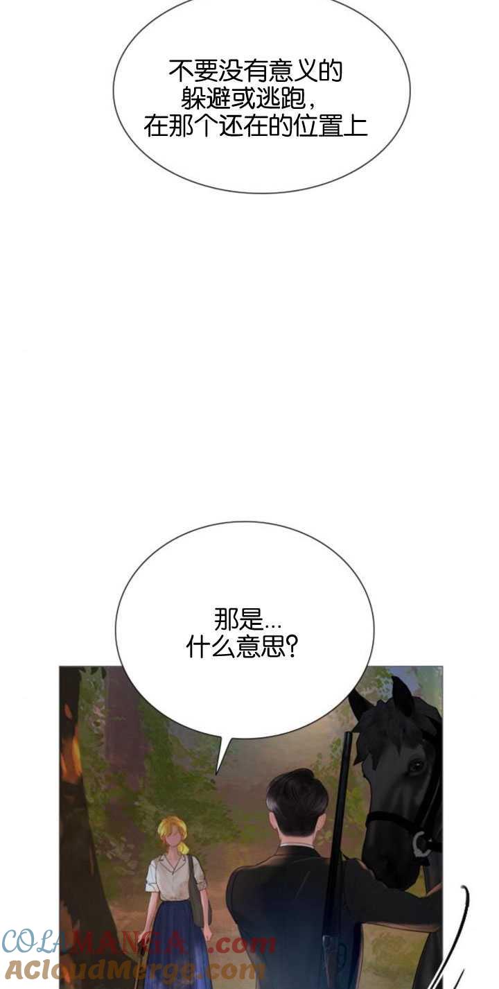 91.jpg