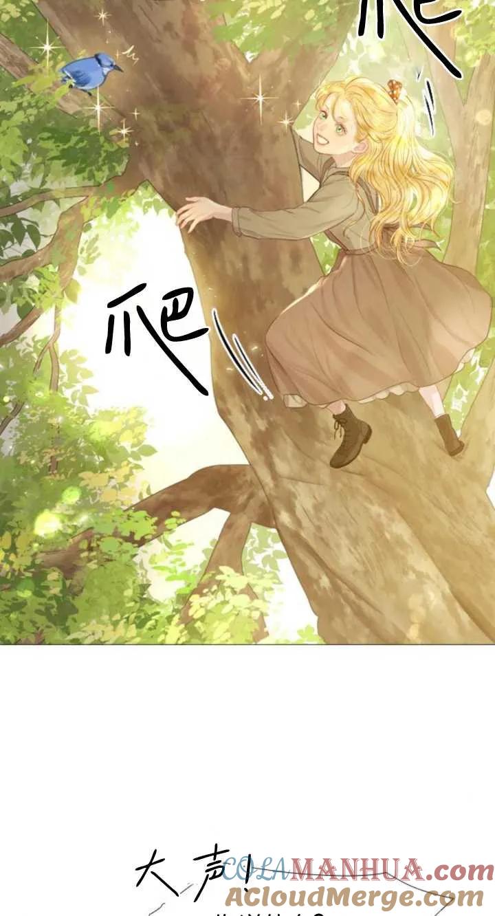 53.jpg