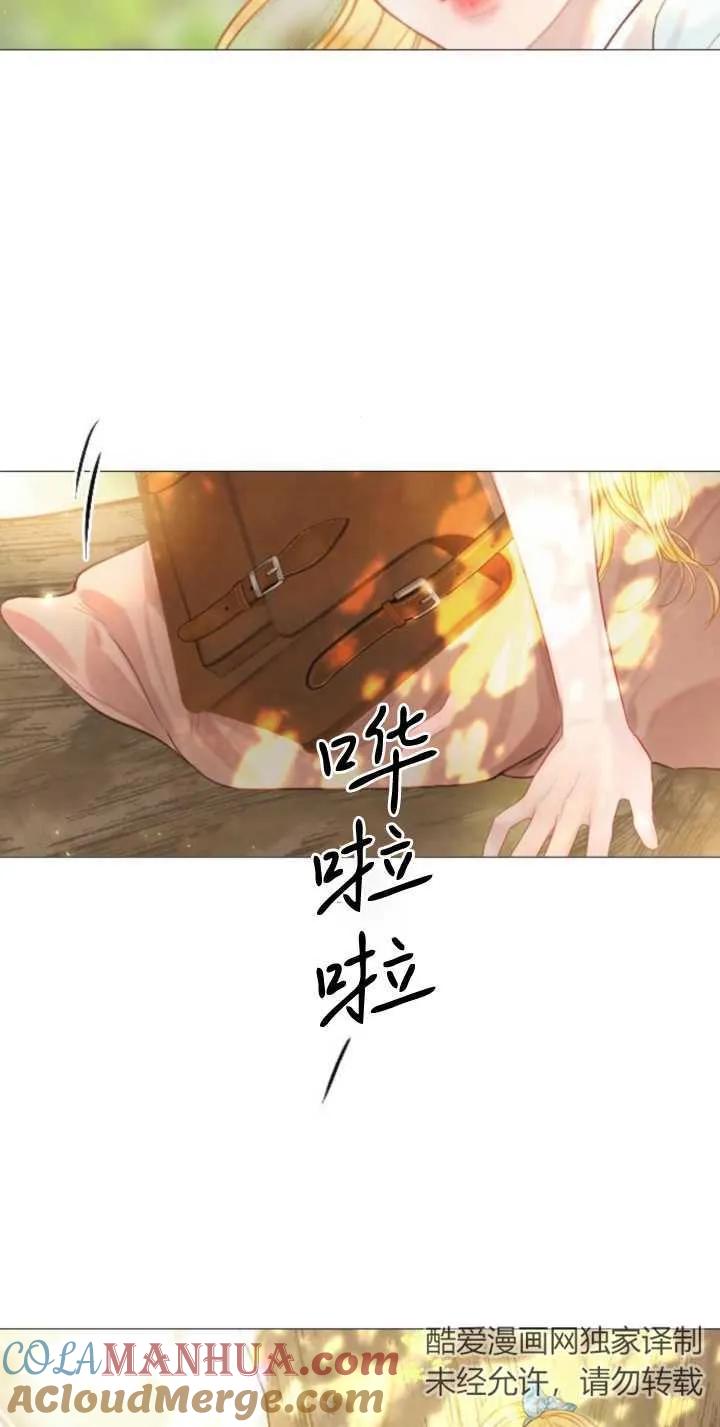 73.jpg
