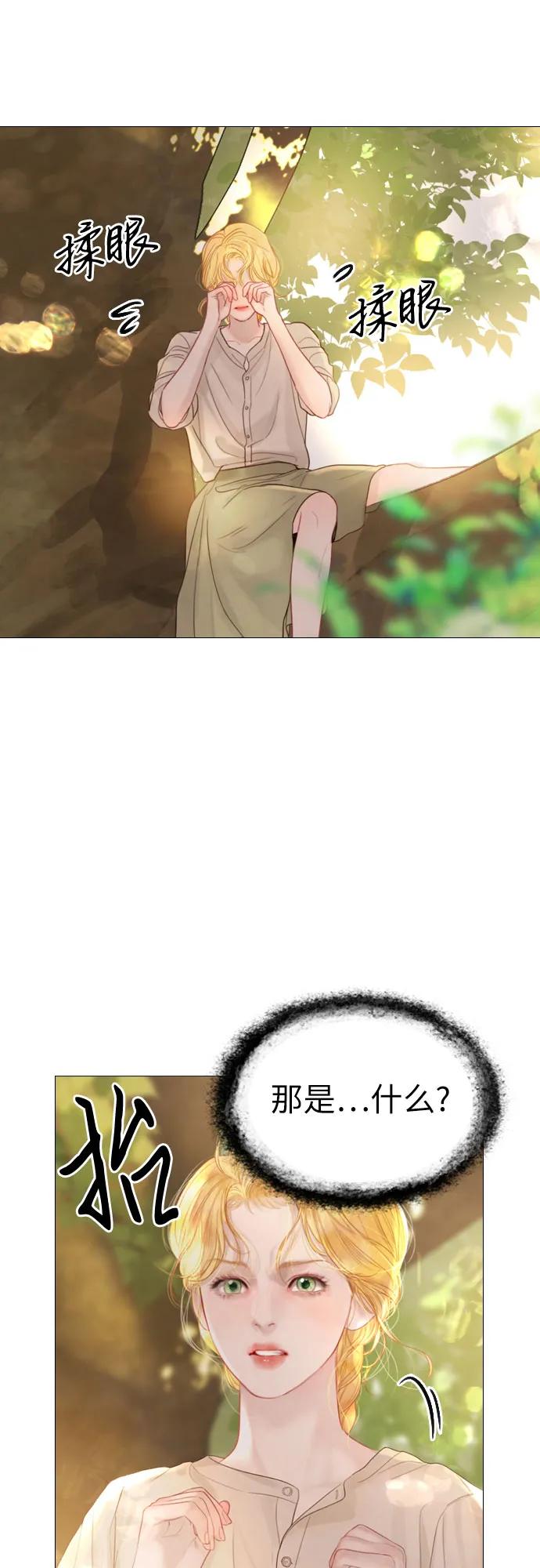 39.jpg