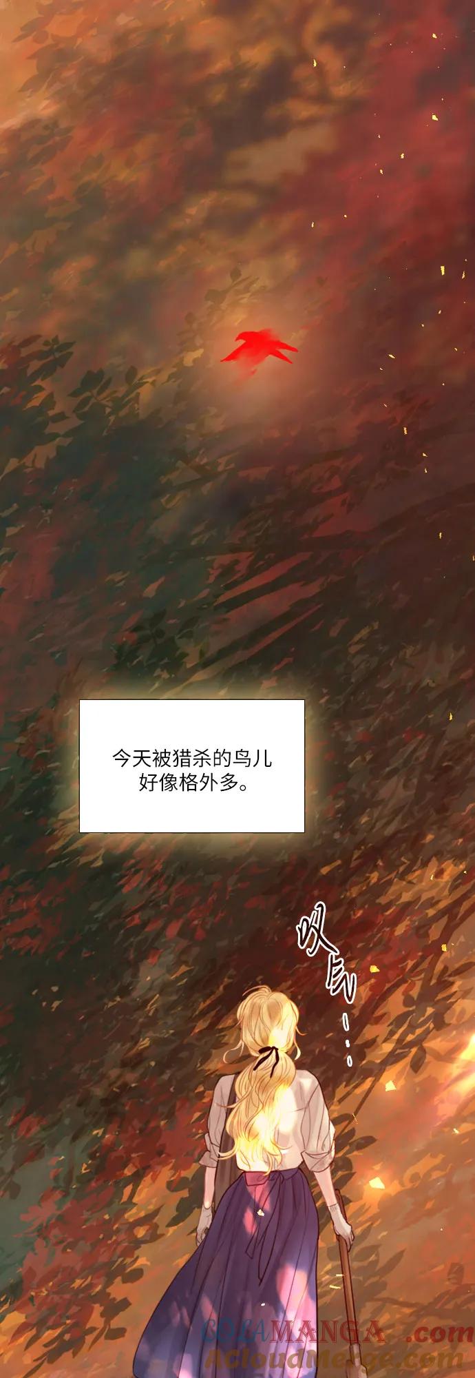 58.jpg